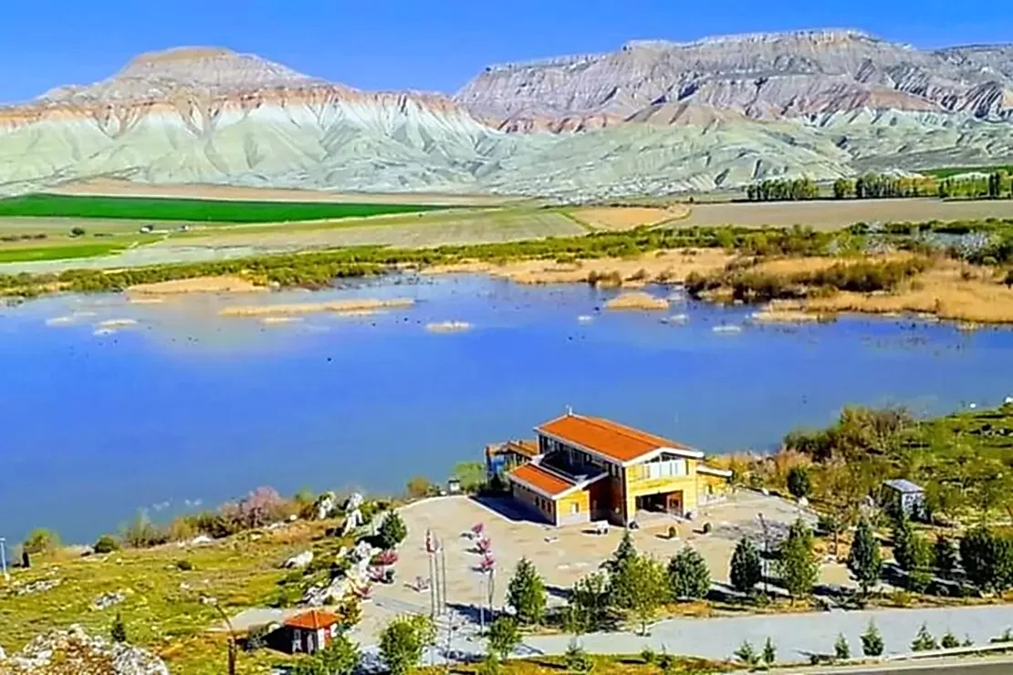 Nallıhan Kuş Cenneti Turu