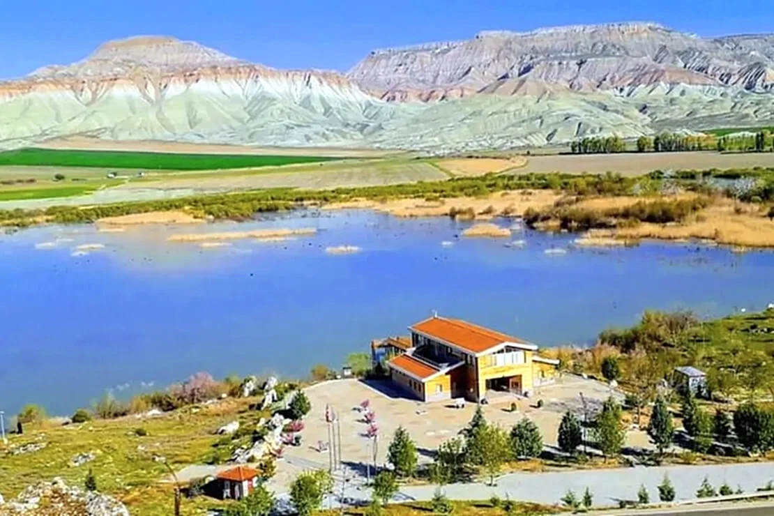Nallıhan Kuş Cenneti Turu