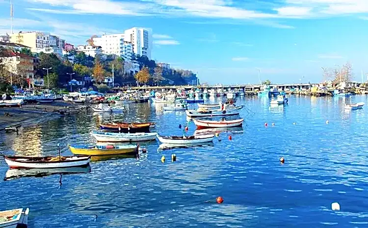Akçakoca - Fakıllı Mağarası - Hemşin Köyü Turu