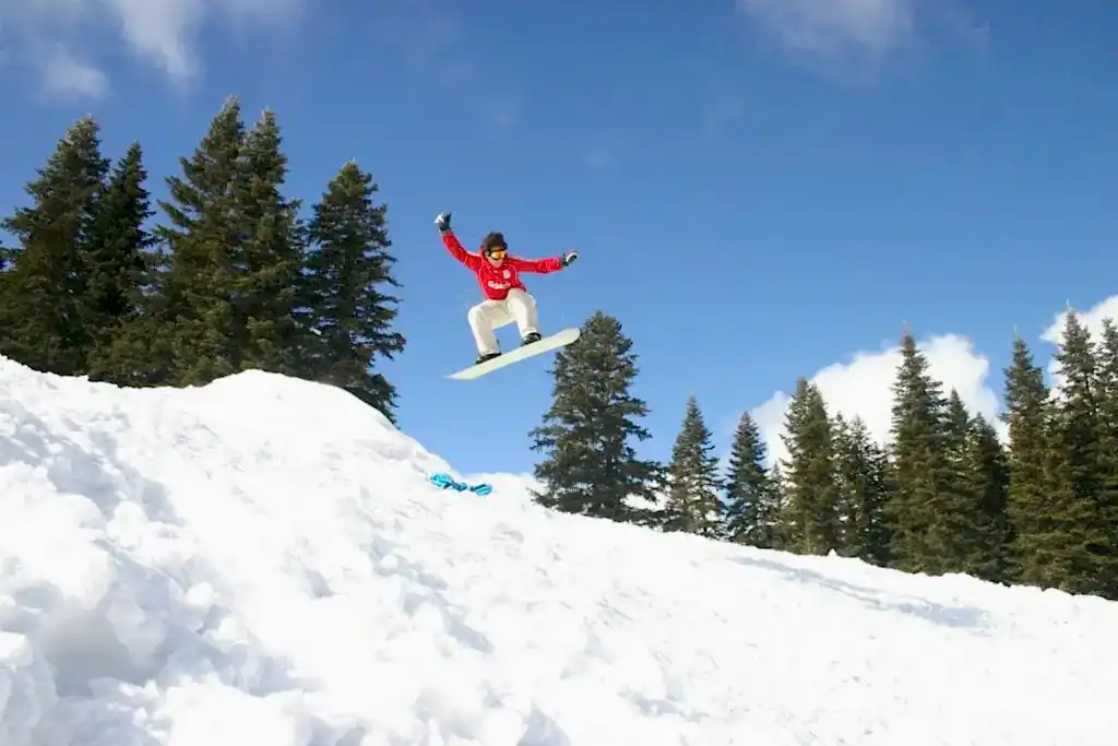 Ilgaz & Termal Turu